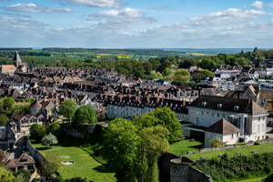 Enlèvement arbre urgence Montluçon